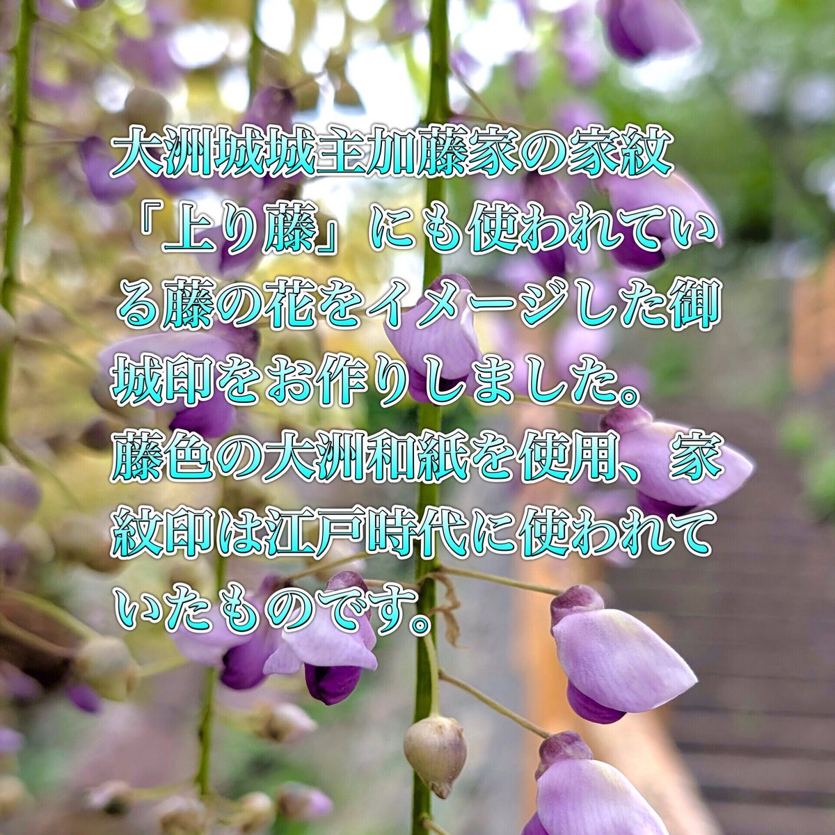 ozu_castle's tweet photo. 🔹訂正いたしました🔹
【GW限定販売】
🪭つつじ御城印
🪭藤御城印

⚫︎販売期間　4月25日(土)〜5月10日（日）
⚫︎販売価格　1枚500円
⚫︎購入場所　大洲城グッズコーナー

＊完売した時点で今年の販売を終了いたします
＊通常の御城印、武将印も販売いたします

［お問合せ］☎︎0893-24-1146 https://t.co/hUJBl3qRr2