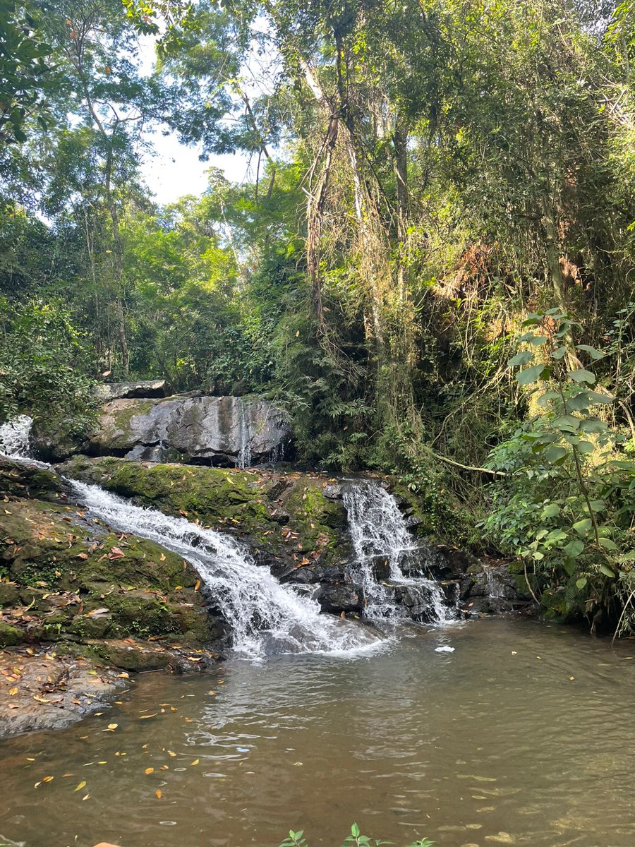 Silvinho 🌸 tweet media