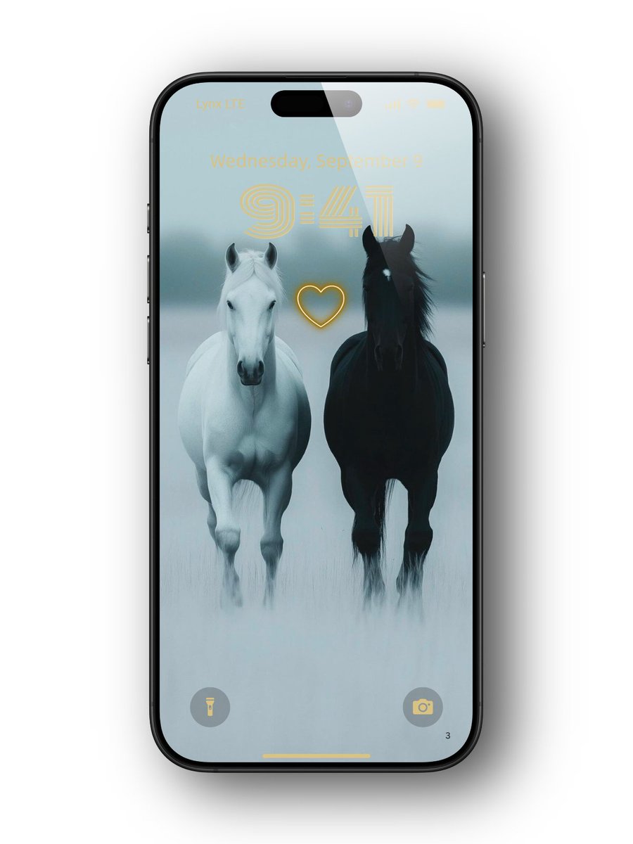 lynxchizzy's tweet image. GM creators 🌄 
#Horses 4k