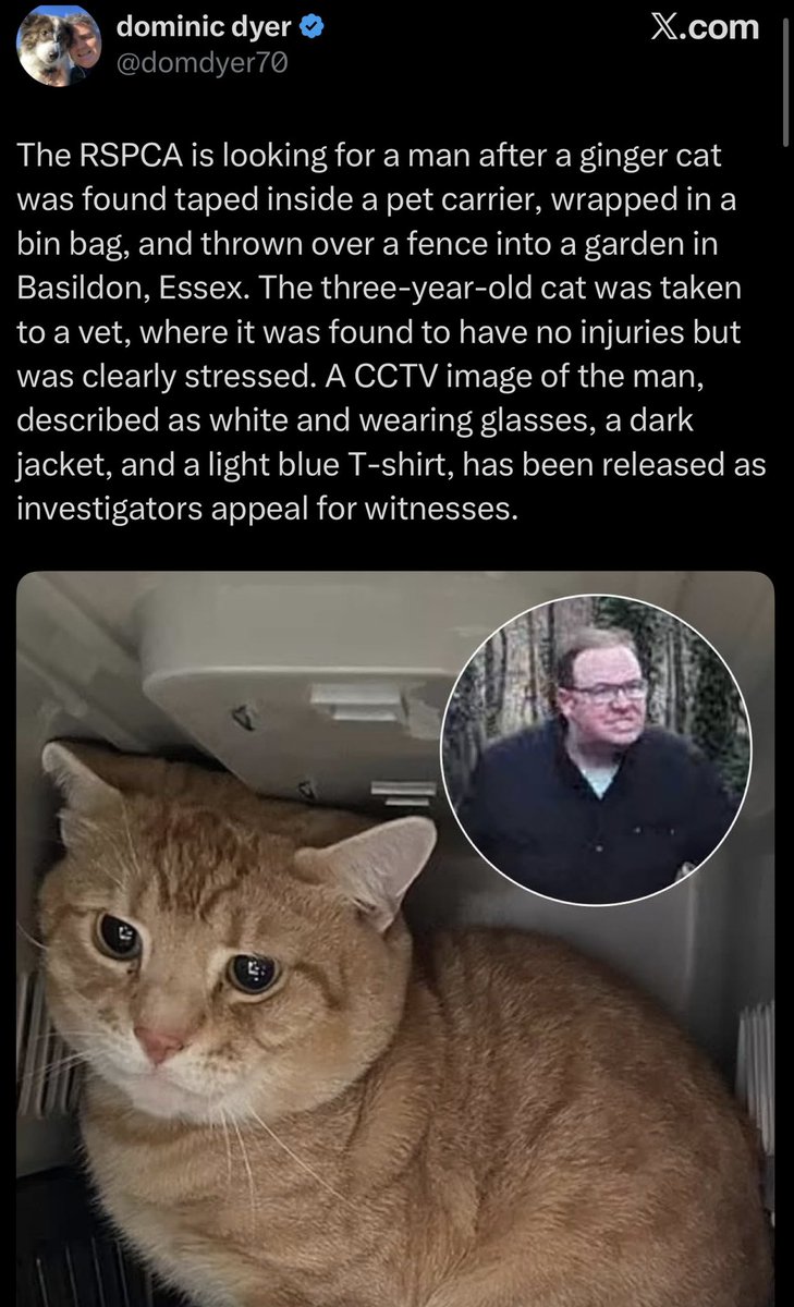 Diana Alastair💚🤍💜 ⚢ ❌❌ tweet media