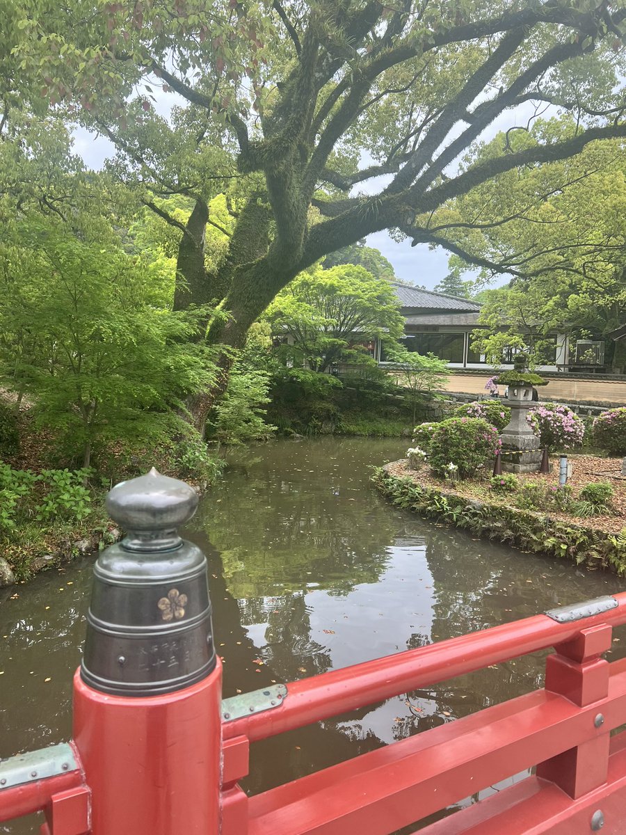 池辺 愛（モエヤン） tweet media