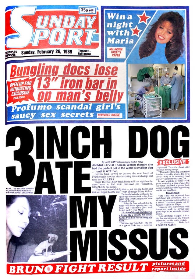 Lee Anderson MP tweet media