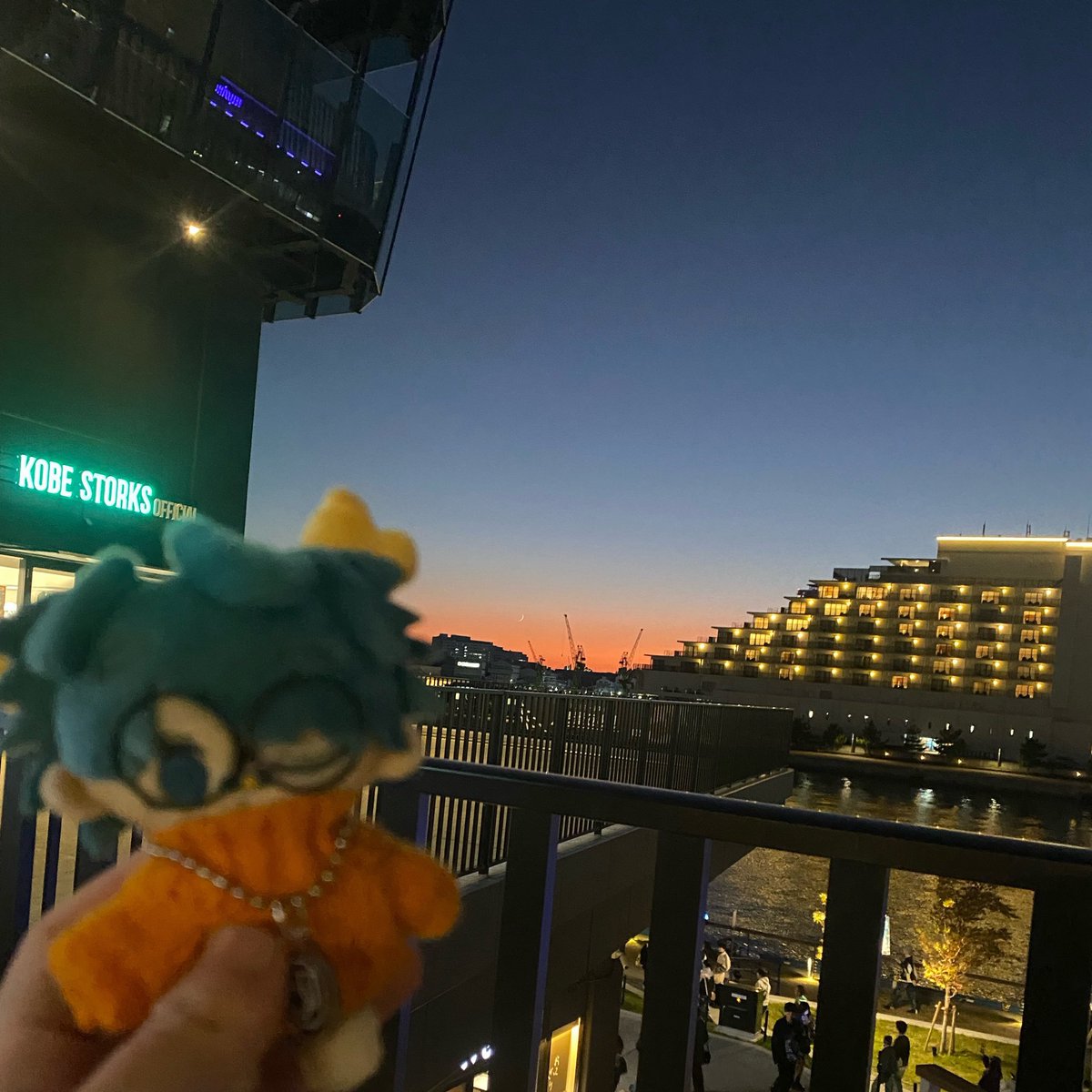 とわ🐻‍❄️ tweet media