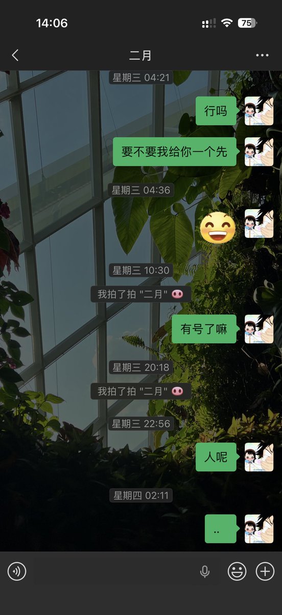 鬼姬与枫 tweet media