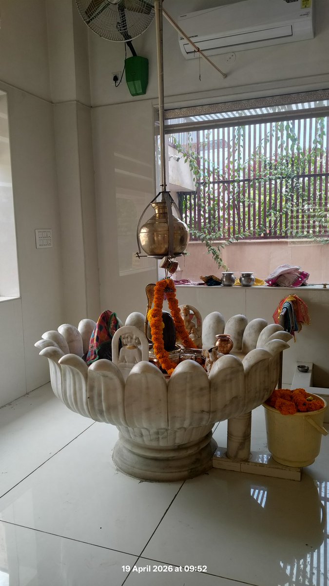 GOLU 🌸 tweet media