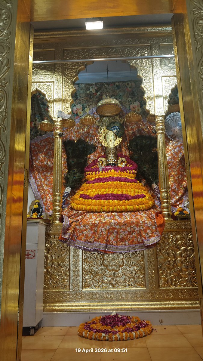 GOLU 🌸 tweet media