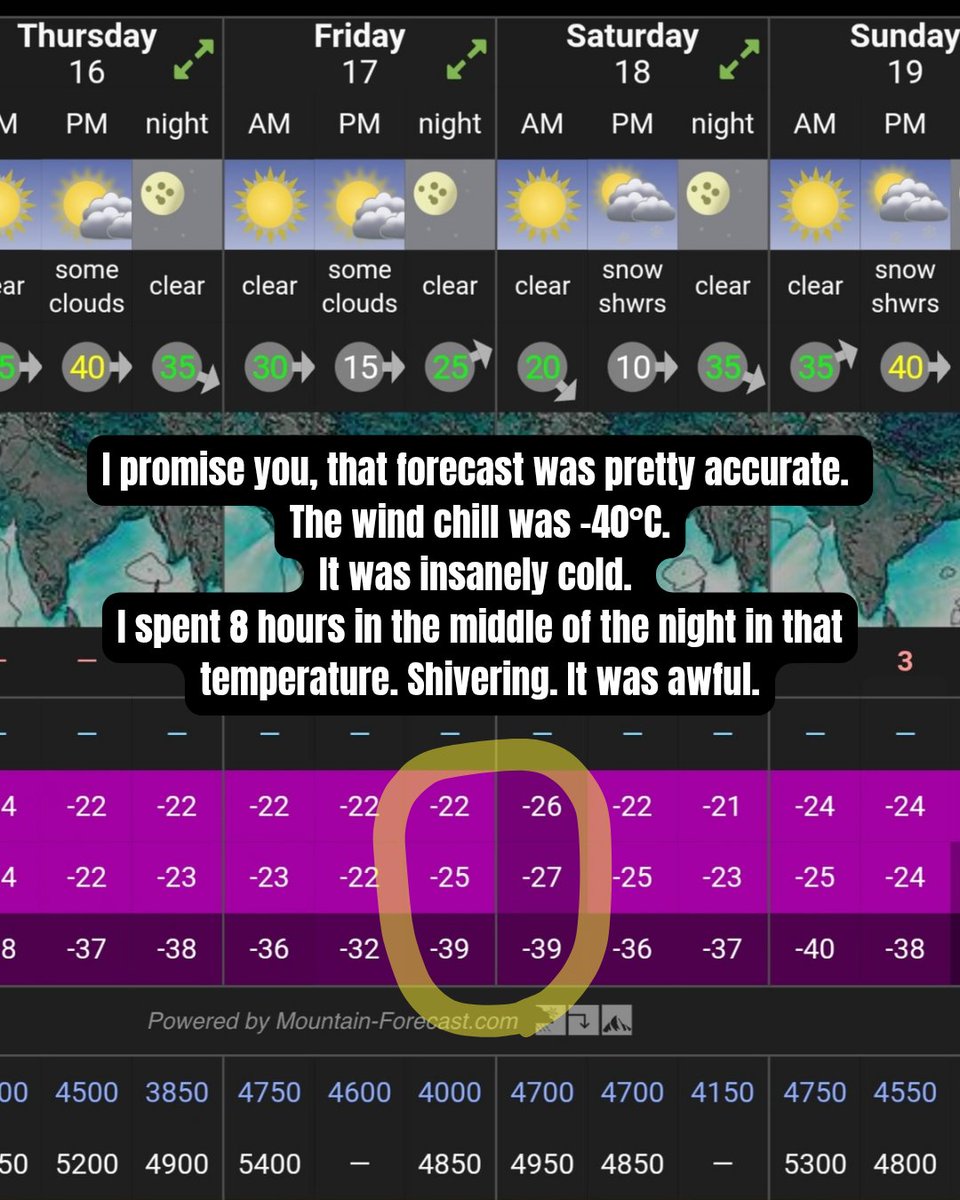 Stefi Troguet tweet media
