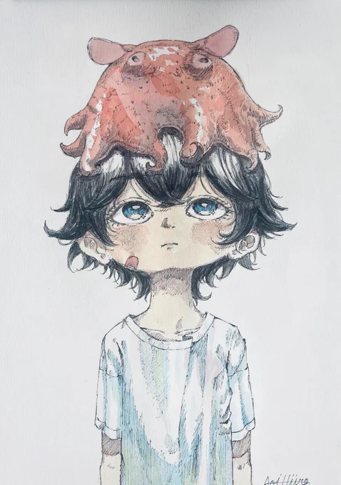 めんだこ