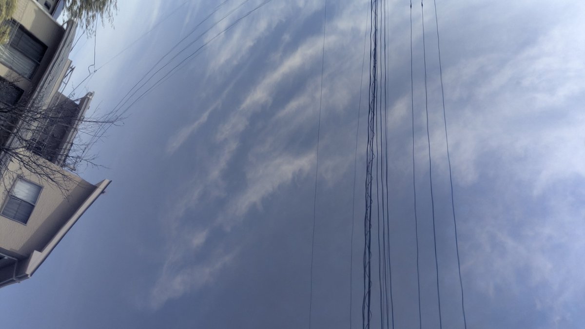 コミさん@眼精疲労が半端ない tweet media