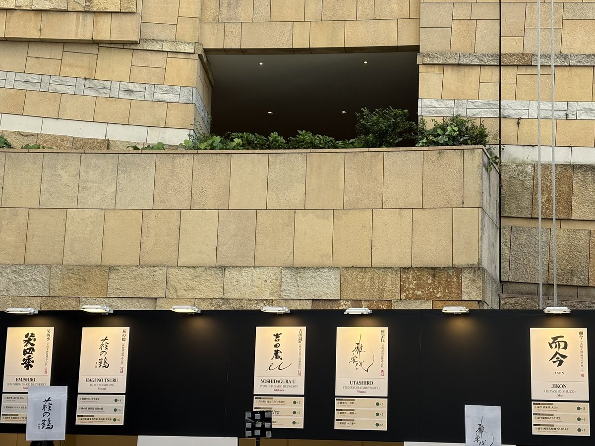 こっちゃん@miles(こっさま、りゃん) tweet media