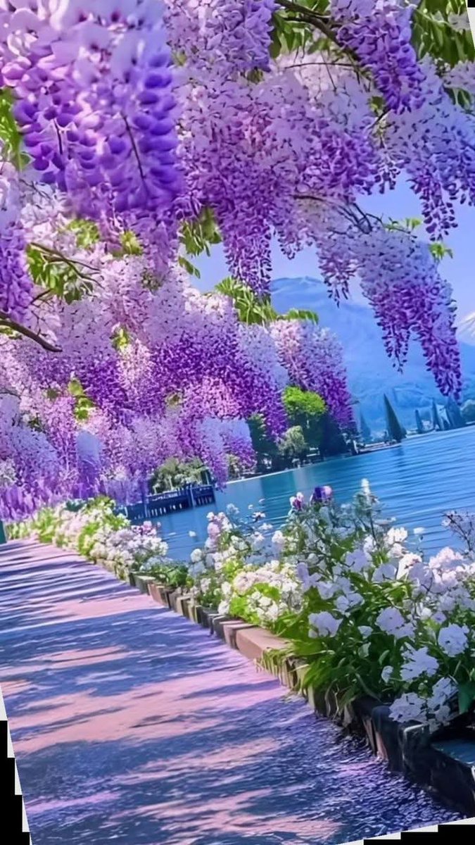 dany_grazia's tweet image. ೃ⁀➷✿🤍 🥀🍃
_____ Good morning friends

  🌺🥀🍀🌷🌾🌸🌿🌺🪻