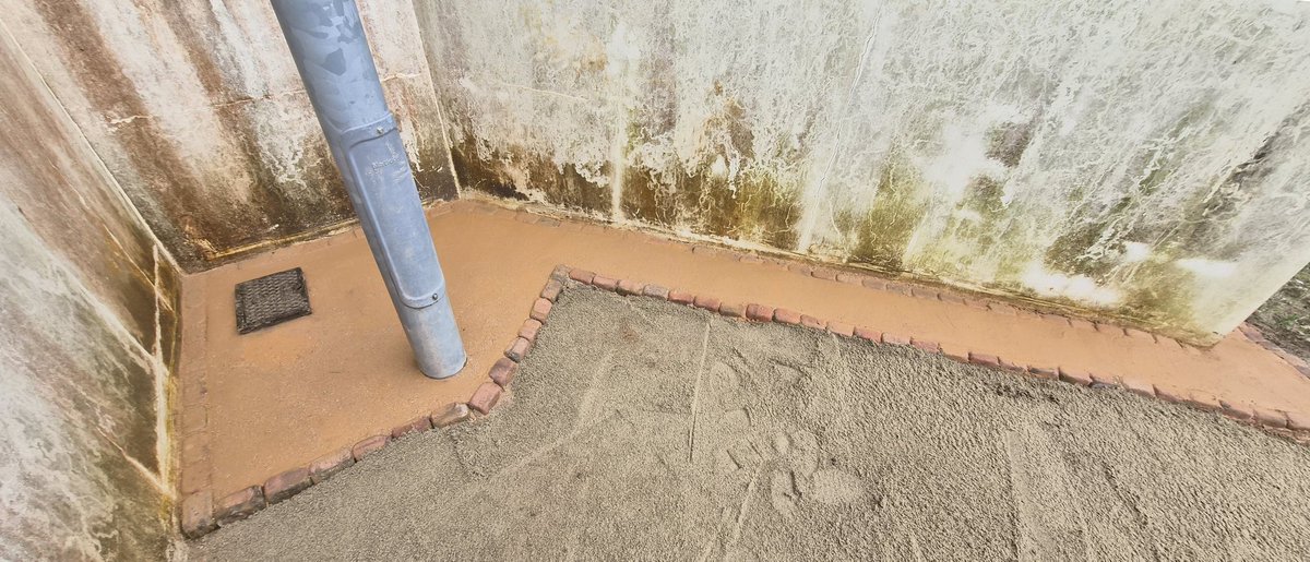 エル@アプローチ全振りマン tweet media