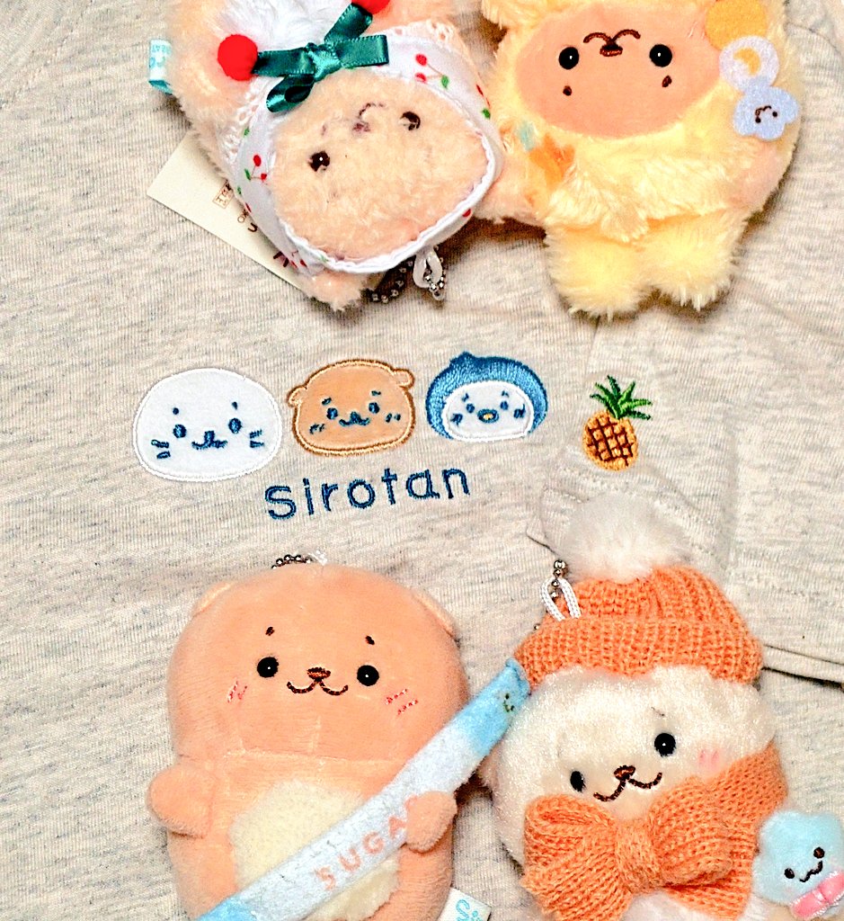 きょうじゅたん tweet media