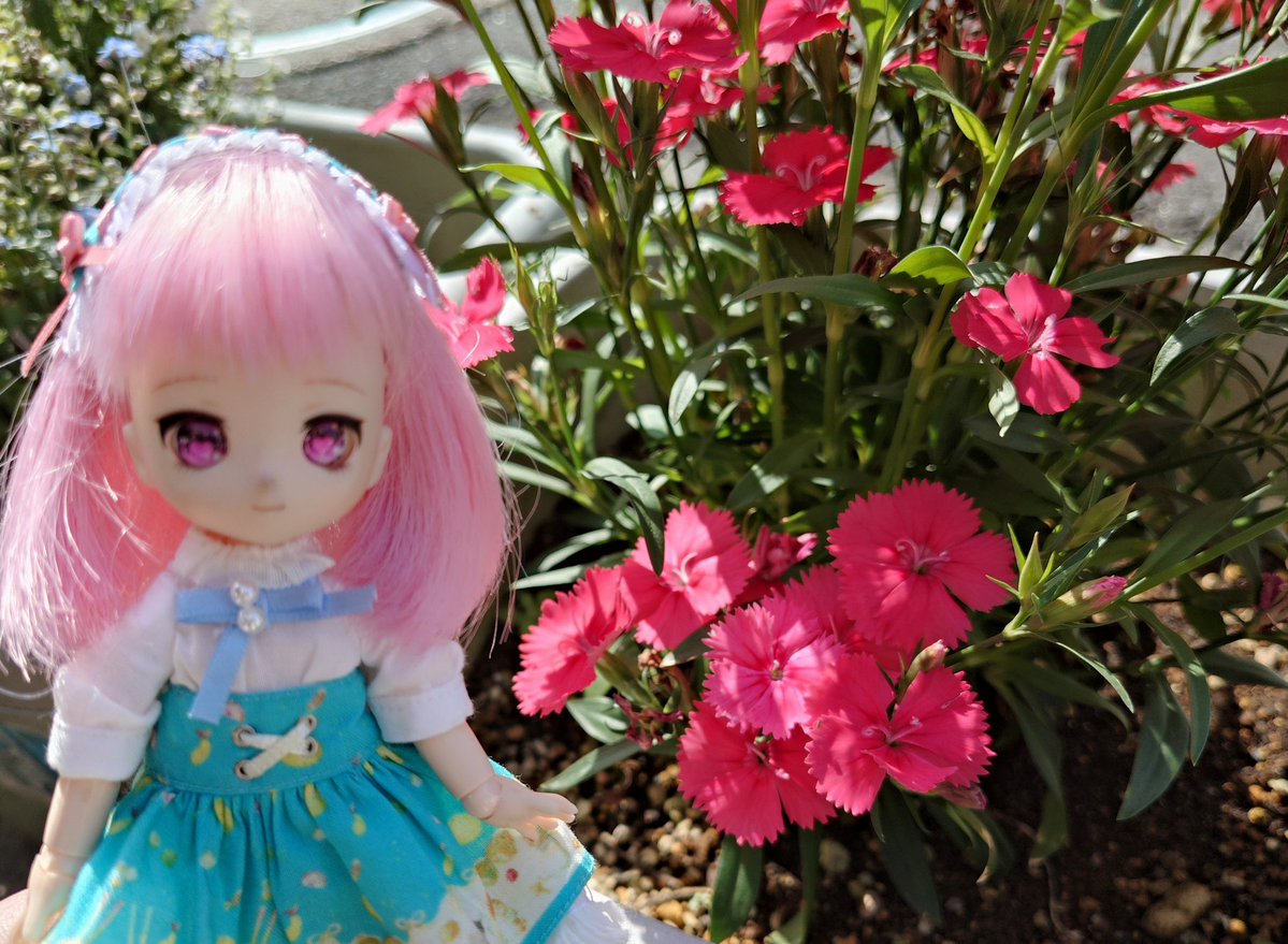 びんごぼんご tweet media