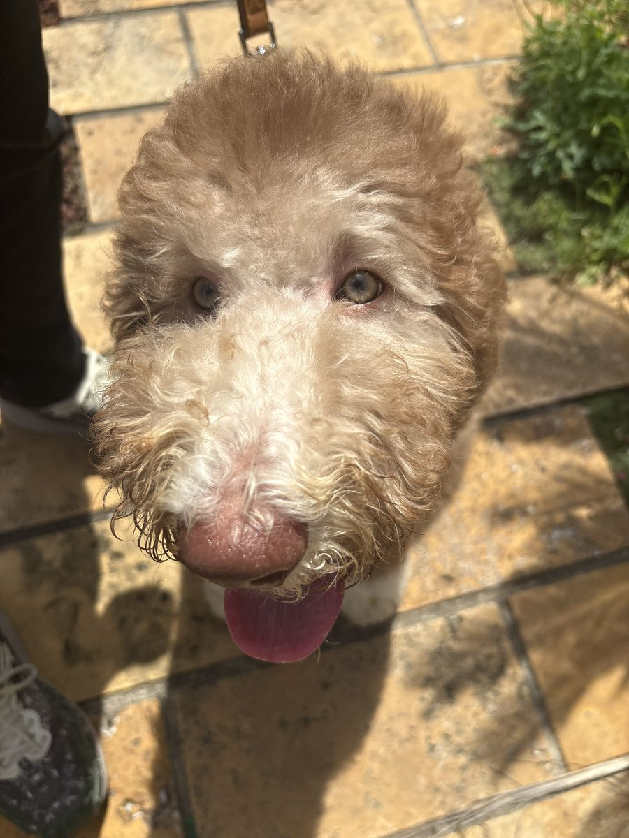 飯田 紅亞 (くれあ) tweet media