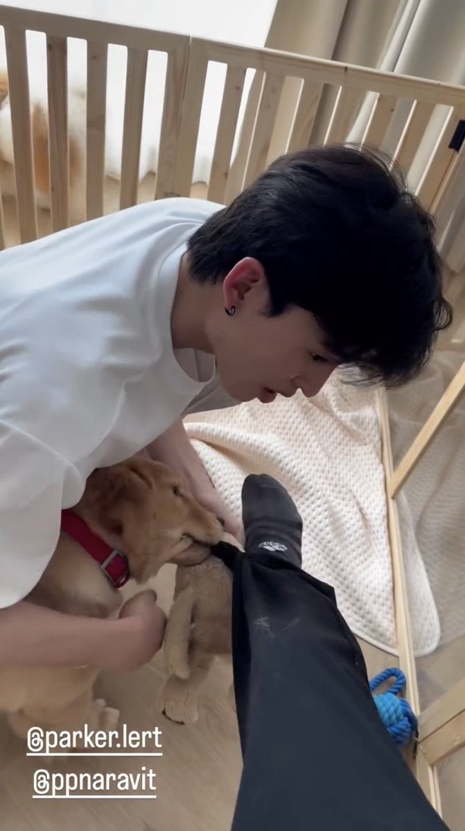 🪸MAKEMEPROUD🪐 tweet media