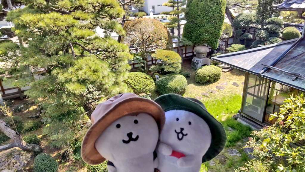 たびくま tweet media