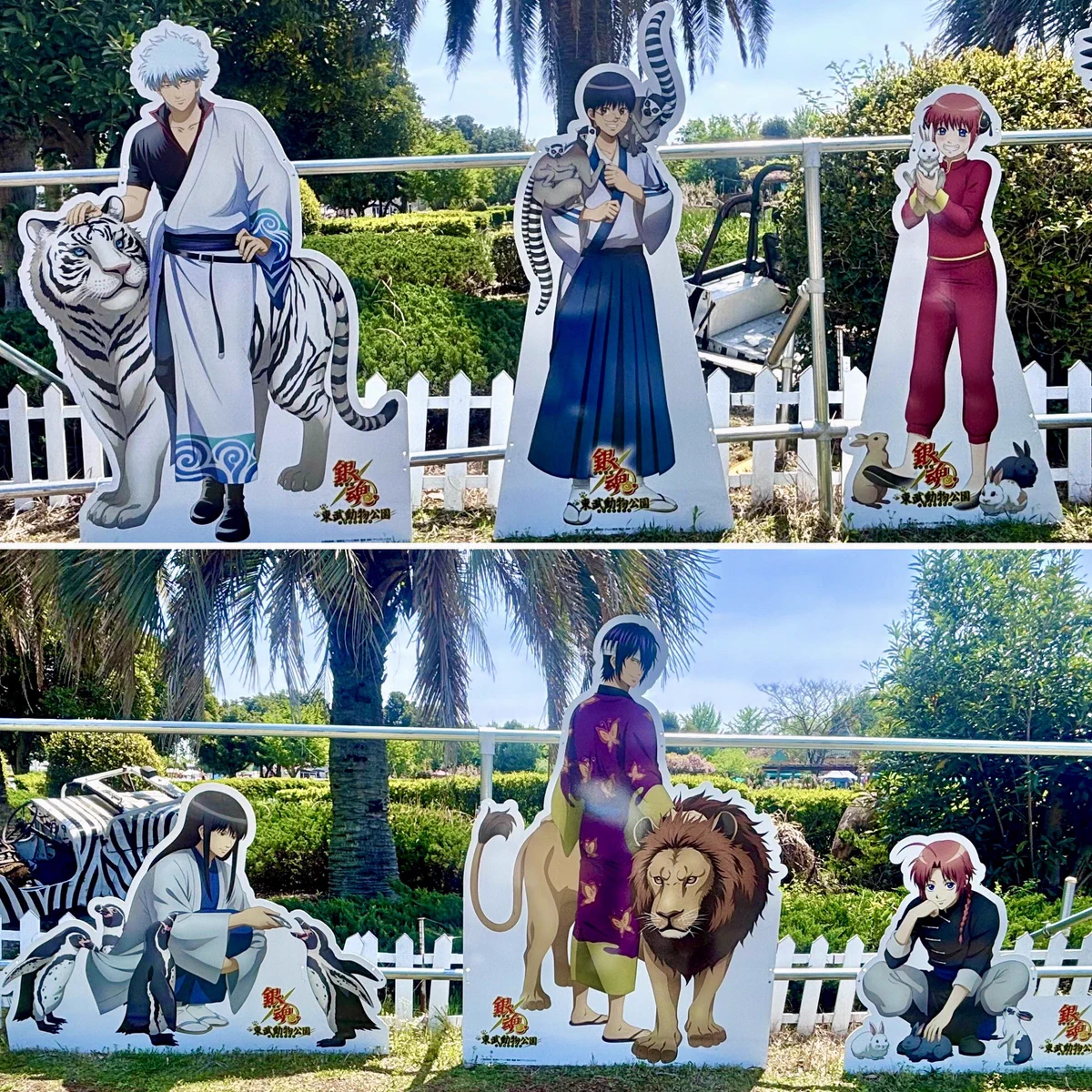 銀魂 神威 東武動物公園 TVアニメ『銀魂』×東武動物公園 | AMNIBUS