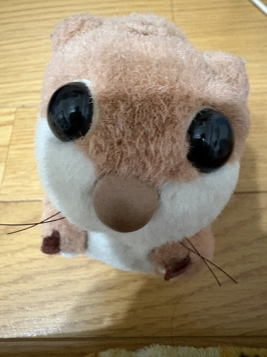 tumosabu's tweet photo. 明日楽しみだな〜 https://t.co/GHOS9pAEoY