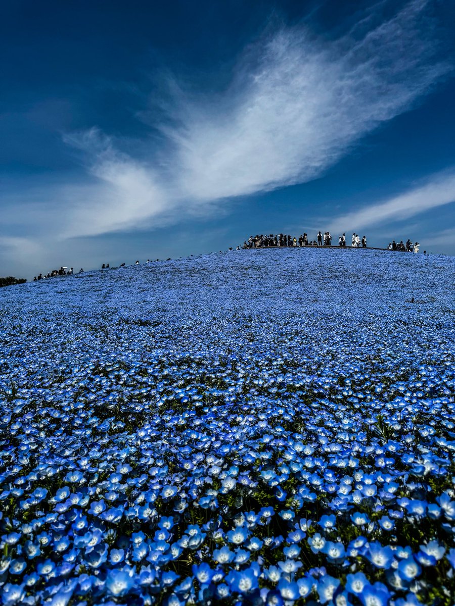 しょうと@CBR1000RR-R SP 2026🇯🇵 tweet media