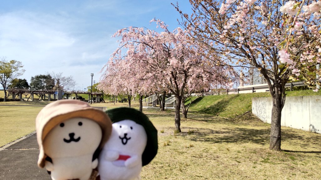 たびくま tweet media