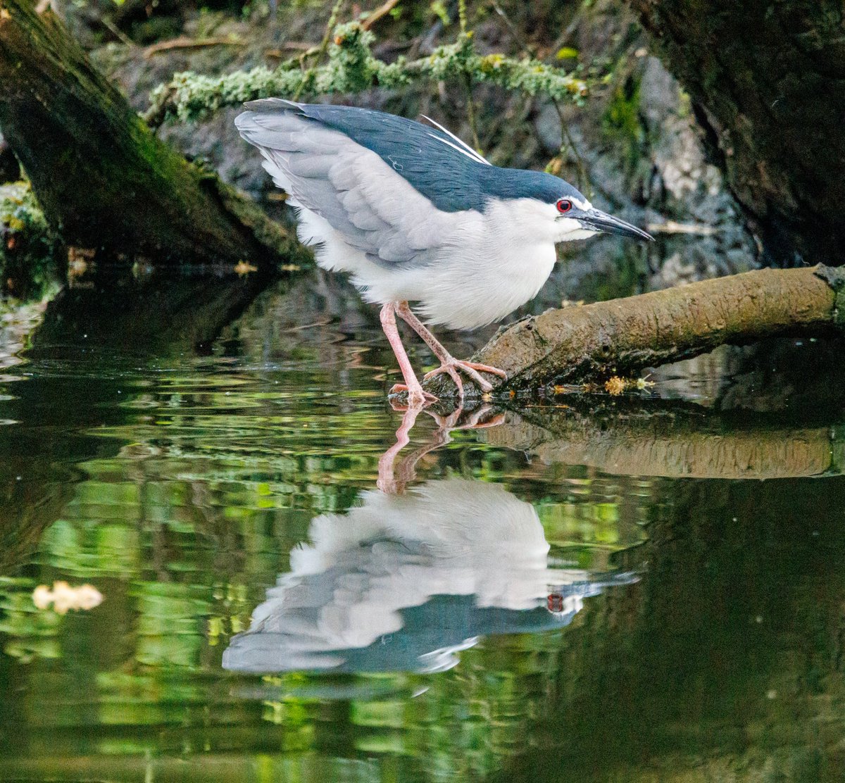 Shaun Evans tweet media