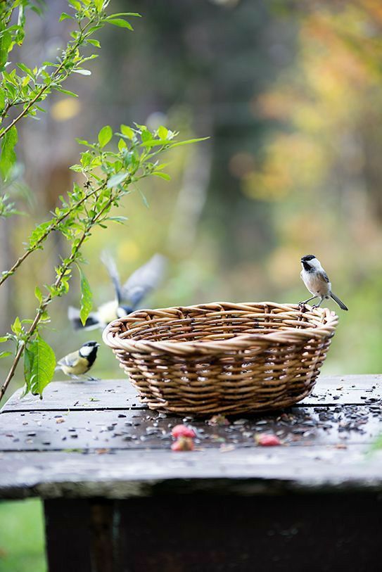 K. Albaloshi3333@gmail.com tweet media