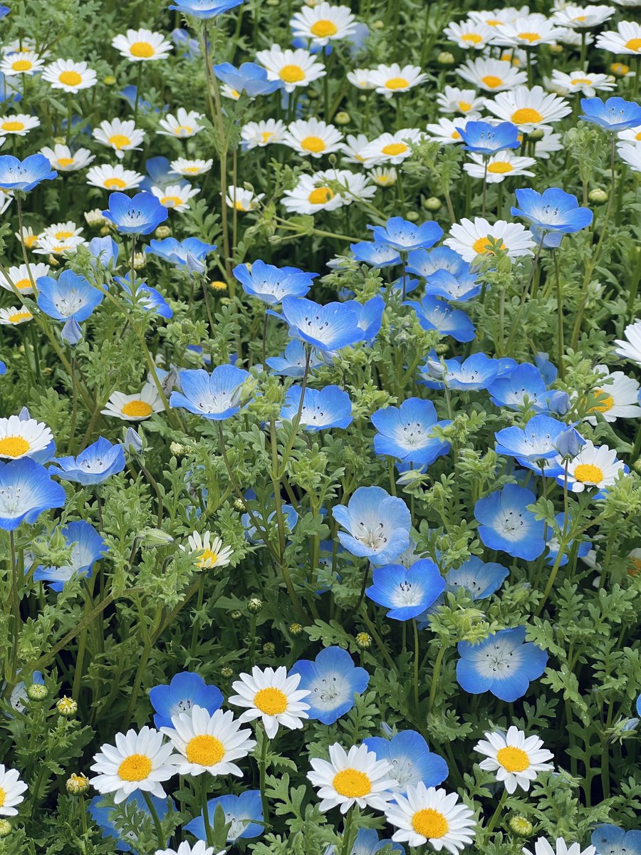 しゅうぞう tweet media