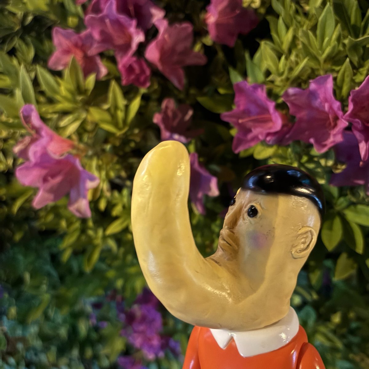 『屁々と花』

#暗黒エンターテイメント
#闇玩具を置けばそこはもう異世界