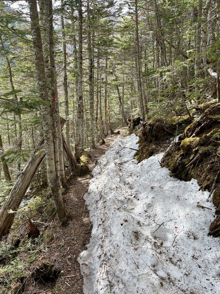 鳳凰小屋 tweet media