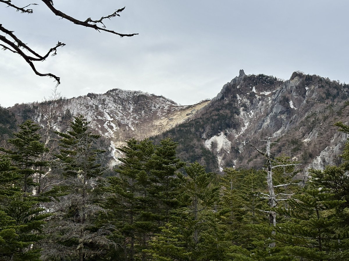 鳳凰小屋 tweet media