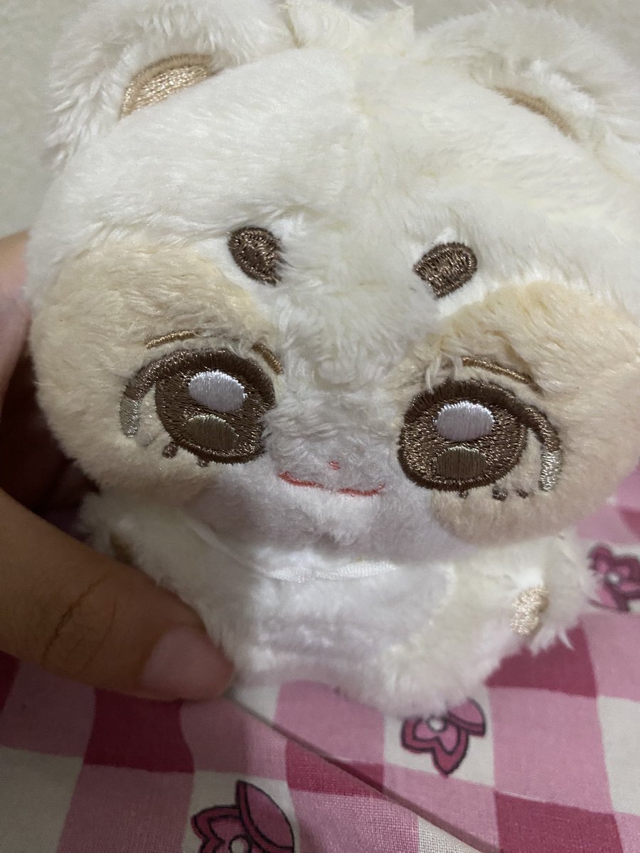 Sbtskups's tweet photo. Wts doll scoups 110k include all dom tgr https://t.co/FWhHsa0ihX