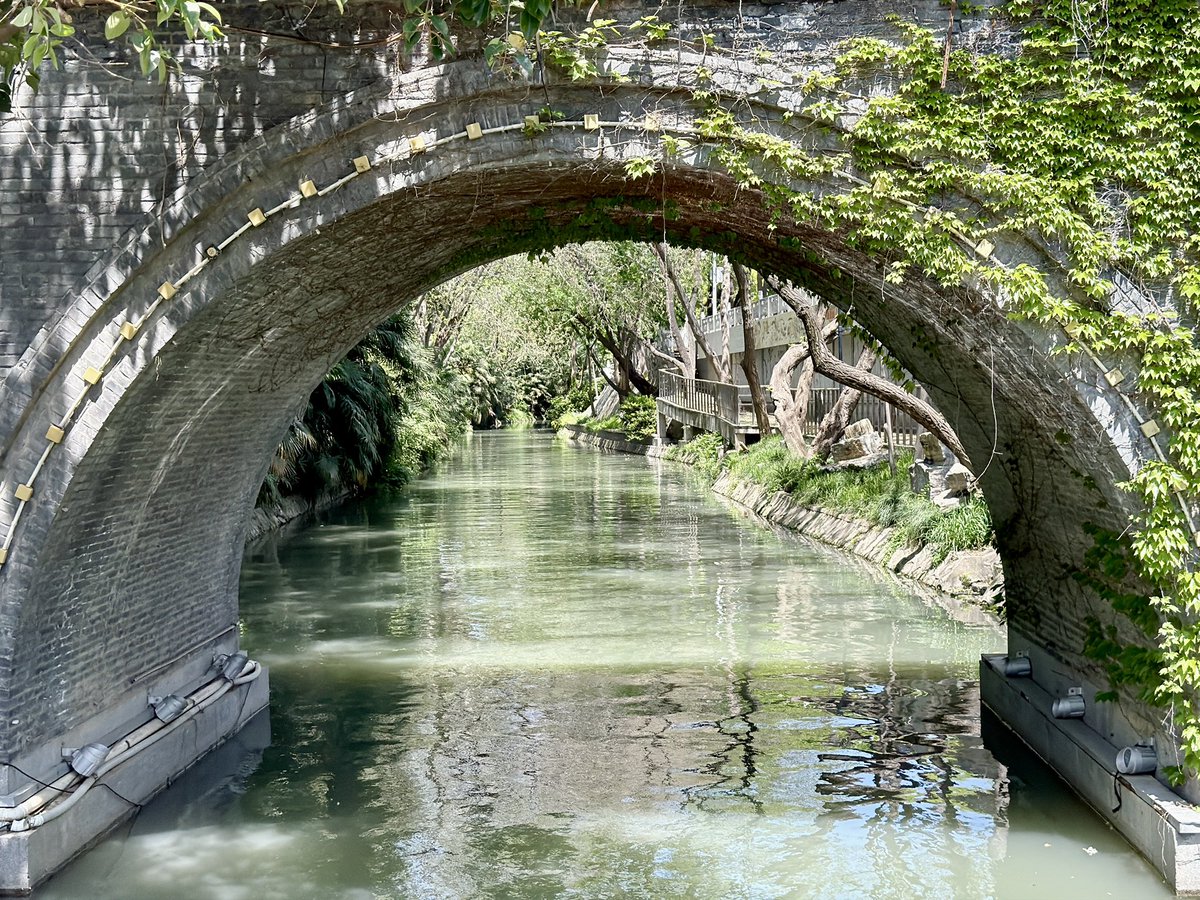 玩具馬 tweet media