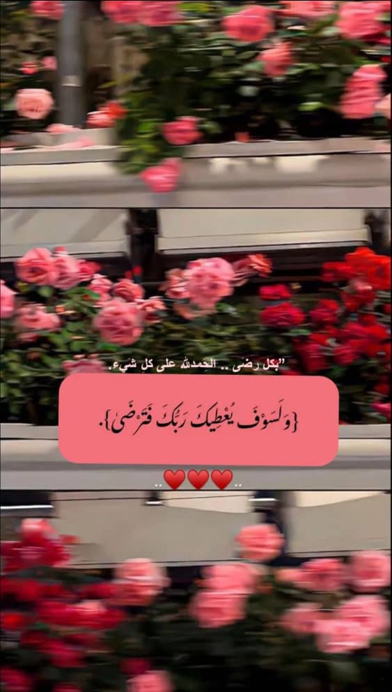 K. Albaloshi3333@gmail.com tweet media