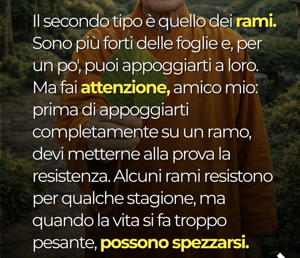 elipellini's tweet photo. Persone FOGLIA , RAMI , RADICE 
Le foglie vanno e vengono. 
I rami possono spezzarsi. 
Ma le radici restano profonde.
Son fortunata perché ho trovato persone Radice che mi hanno aiutato nei periodi più difficili  della mia vita .. son poche ma ci sono sempre e io per loro . https://t.co/L45m6TzOPk