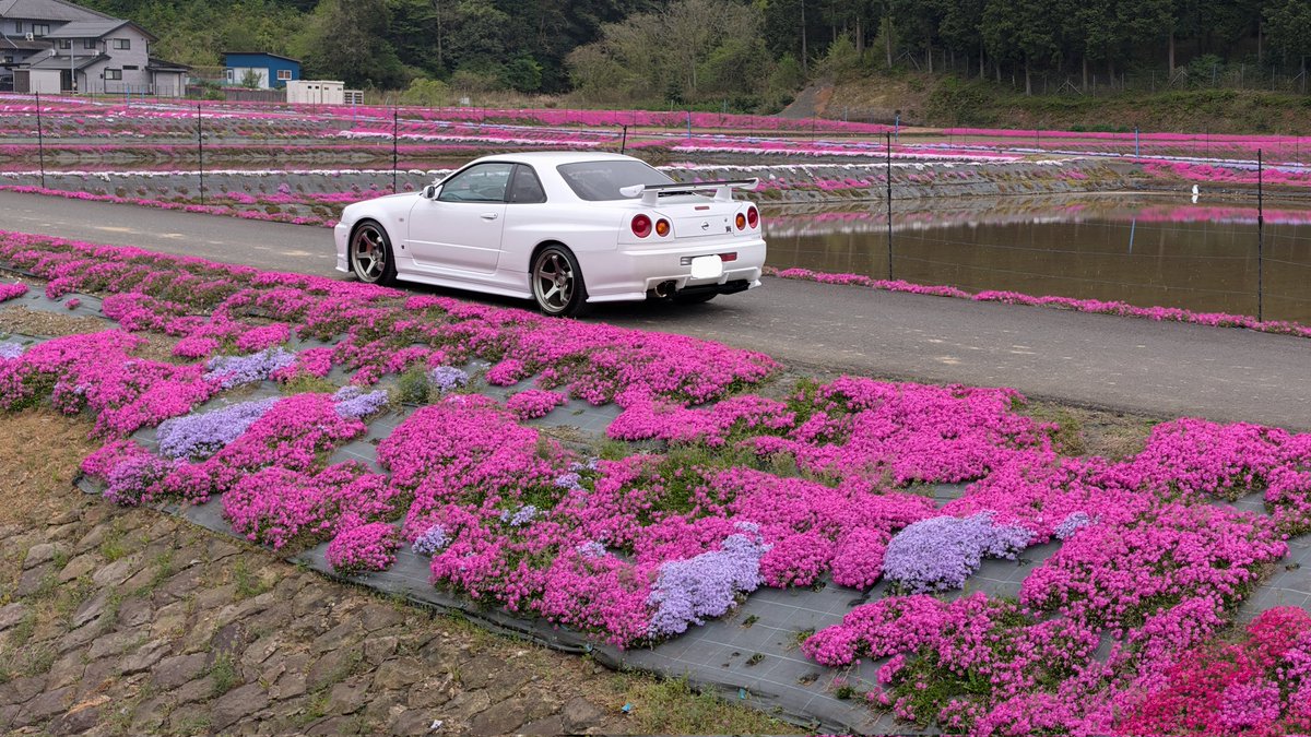 どんくん tweet media