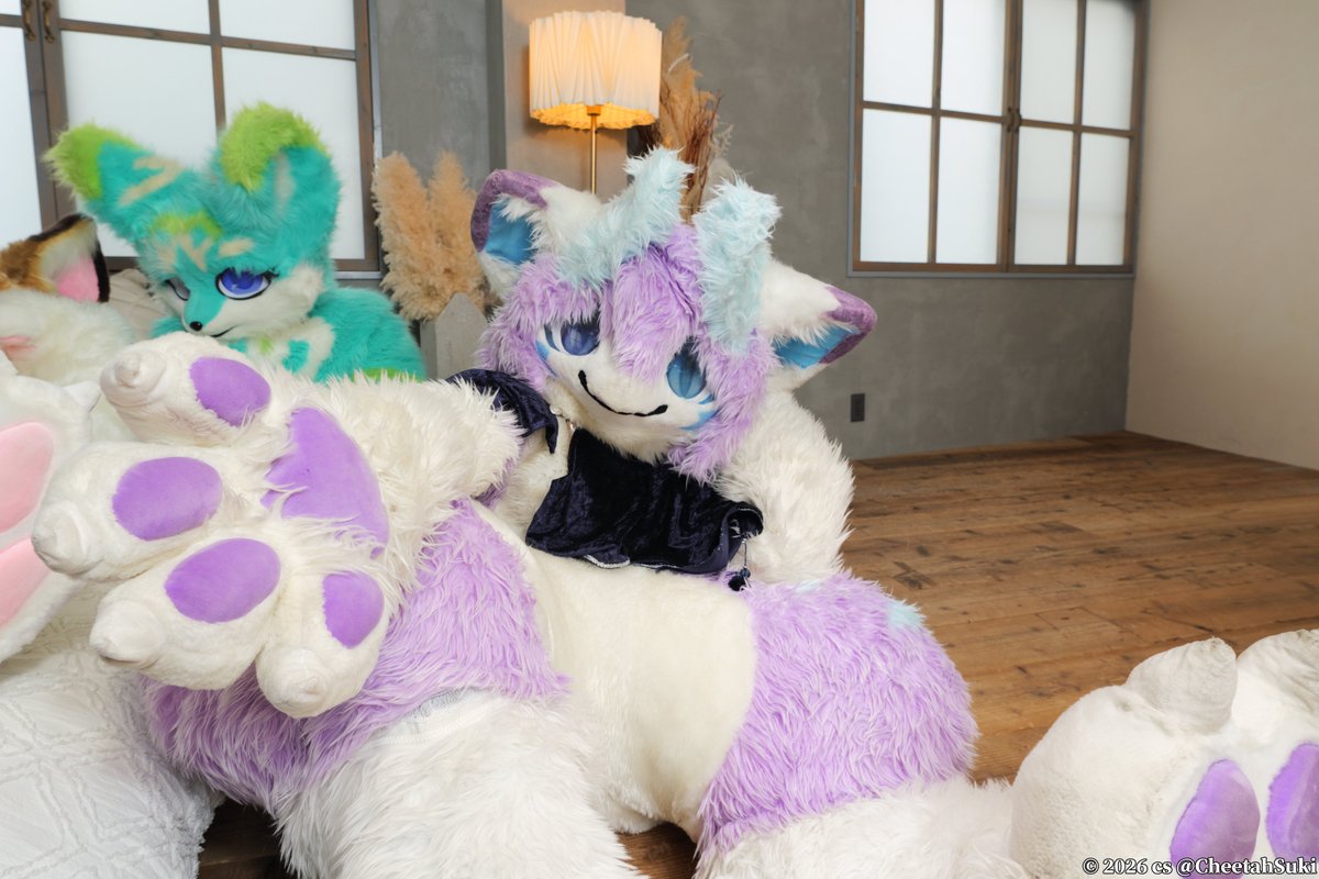CheetahSuki's tweet photo. 広角おぶおぶ
#ろりおふ2 #FursuitsEveryday #BluePaws https://t.co/UyzZmDVzPy