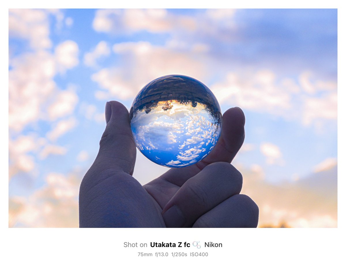 美しきこの世界