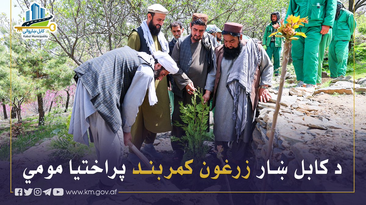 Kabul Municipality / کابل ښاروالۍ / شاروالی کابل tweet media