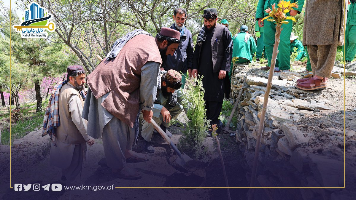 Kabul Municipality / کابل ښاروالۍ / شاروالی کابل tweet media