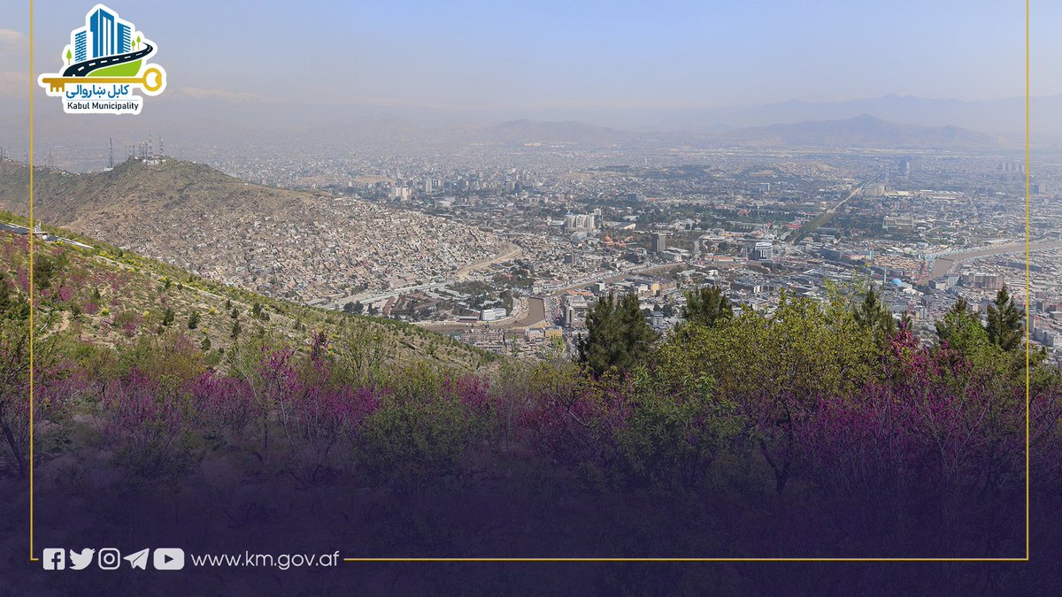 Kabul Municipality / کابل ښاروالۍ / شاروالی کابل tweet media