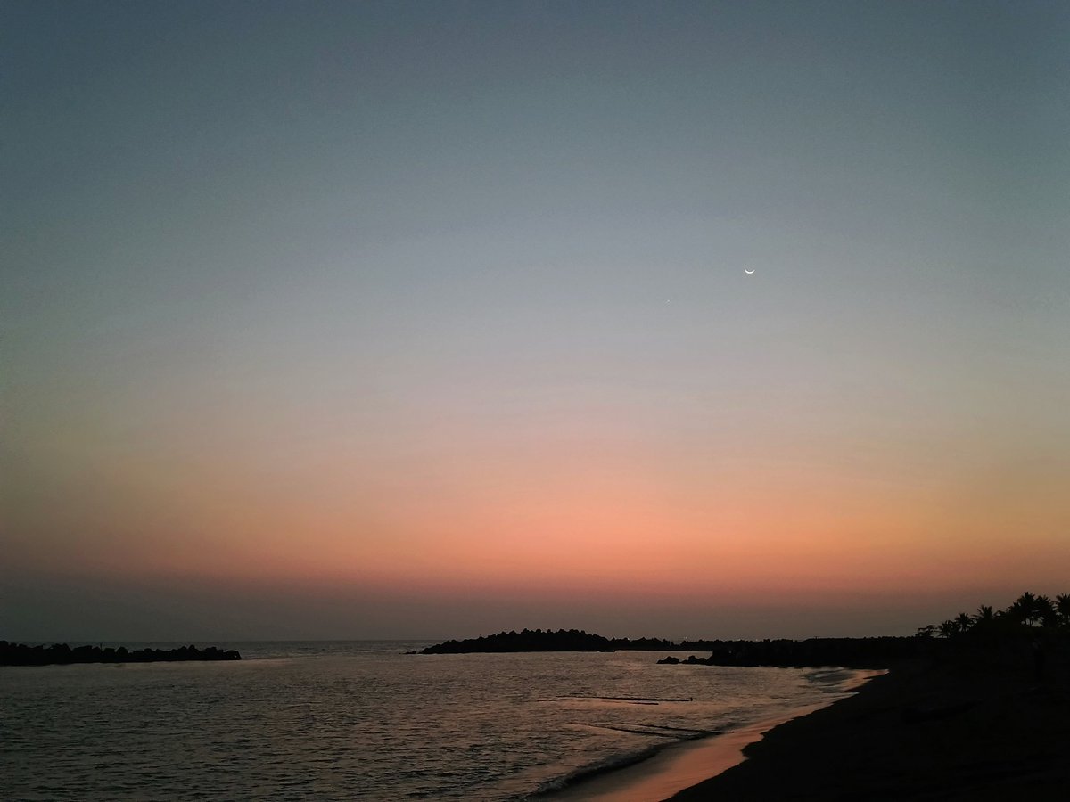 多肉草莓3.0🍓🍓🍓 tweet media