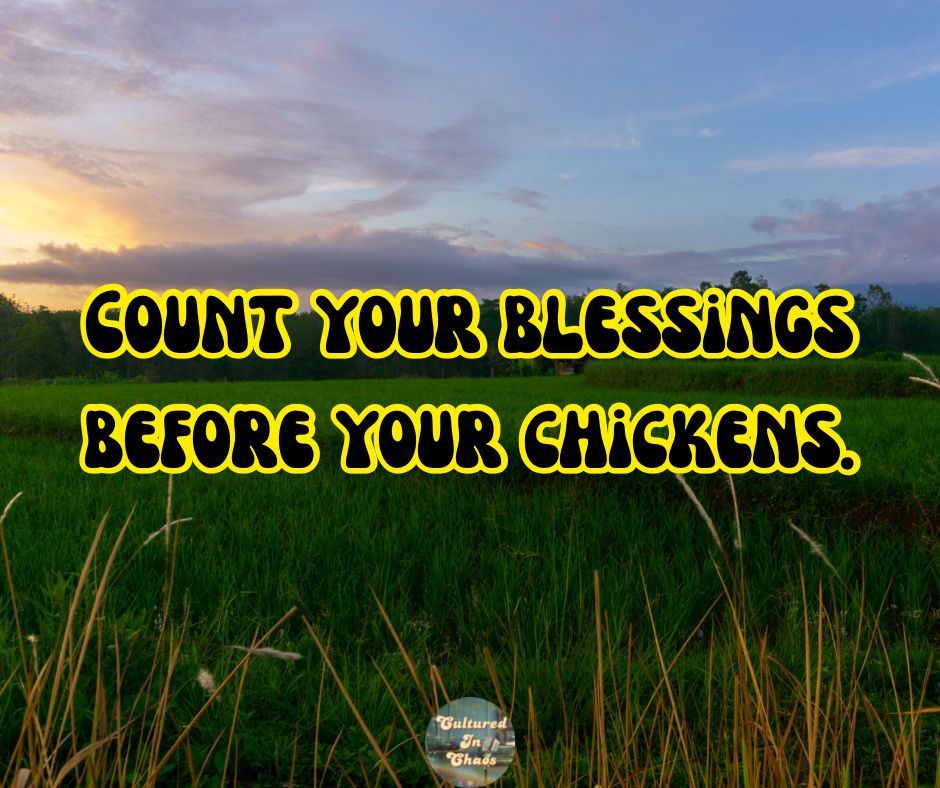 CulturedInChaos's tweet image. A gentle reminder straight from the field: Gratitude &amp;gt; future worries.
 It may not be going exactly as you had hoped in the moment, but those blessings deserve to be acknowledged. 🔥💛

#MorningMotivator
#DailyMindset
#CulturedInChaos
#SundayVibes
#WrestleManiaSunday