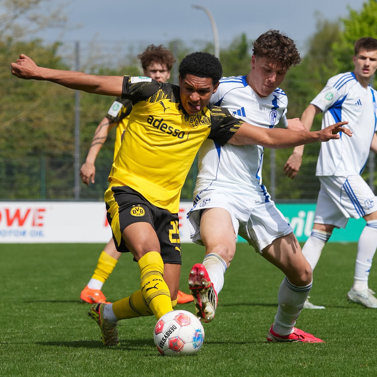 Borussia Dortmund tweet media