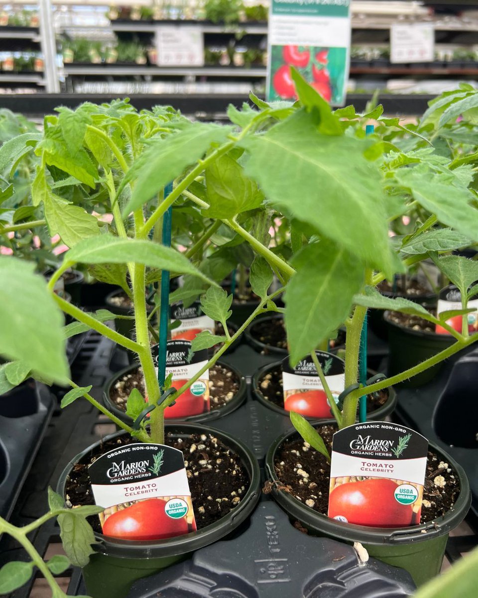 Hicks Nurseries tweet media