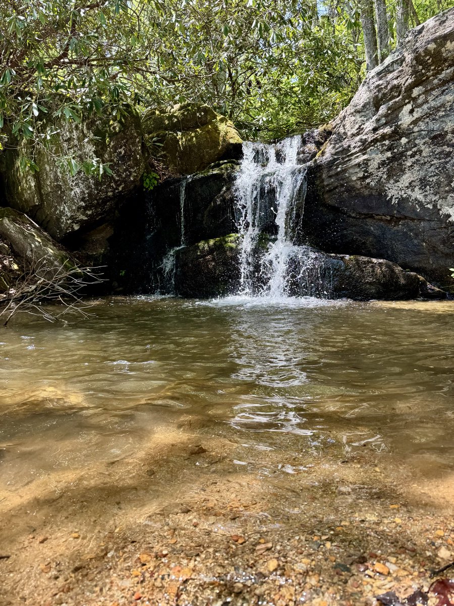 gOnzOd0g's tweet image. #getoutside #marionnc #tomscreekfalls #beauty #earth #waterfalls