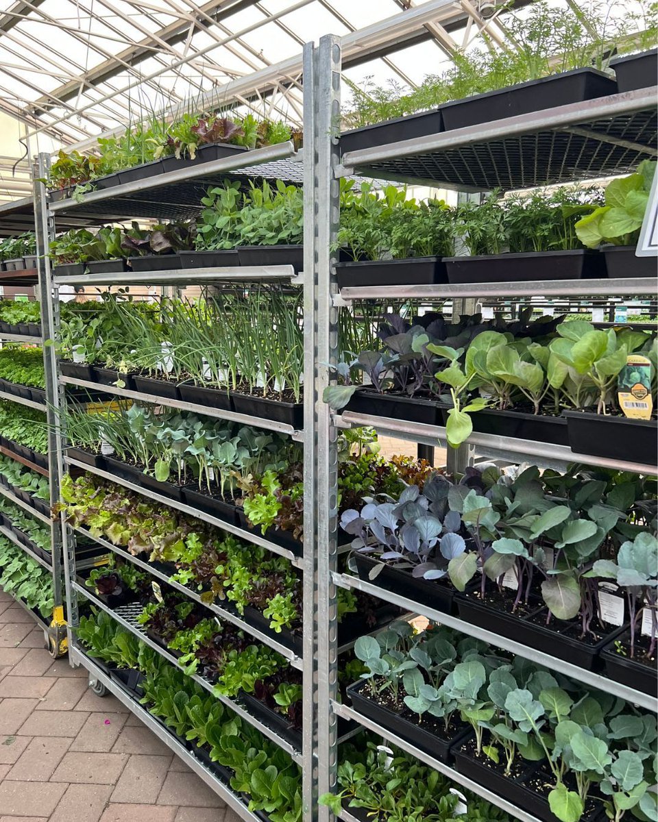 Hicks Nurseries tweet media