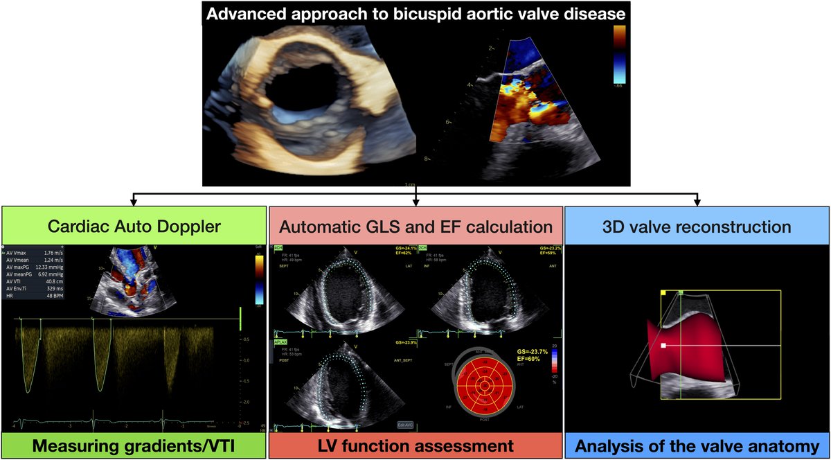 European Society of Cardiology Journals tweet media
