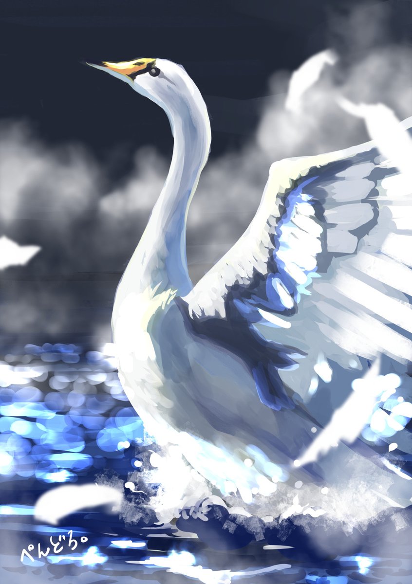 ぺんどろ。 tweet media