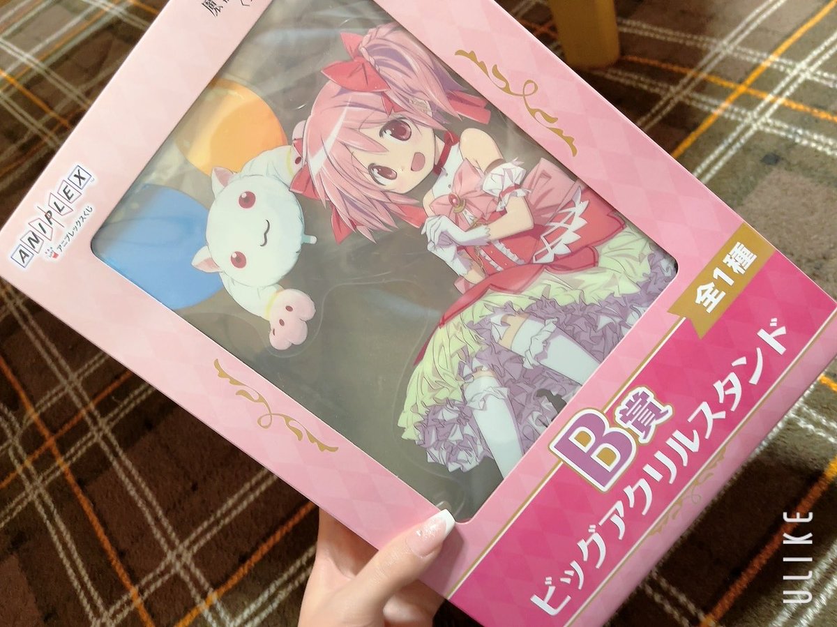 3510🩹 tweet media